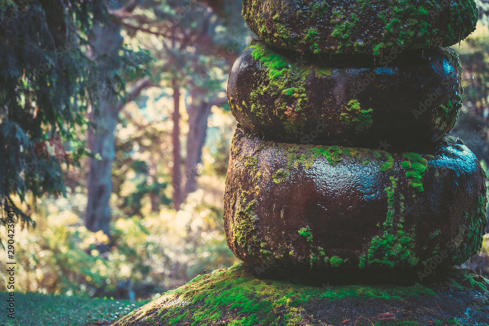 Fototapeta premium mossy stone with water drop