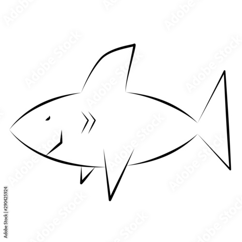 illustration of a shark