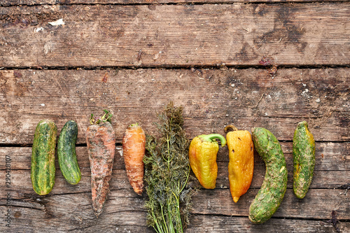 Rotten vegetables are laid out in a row on the table. photo