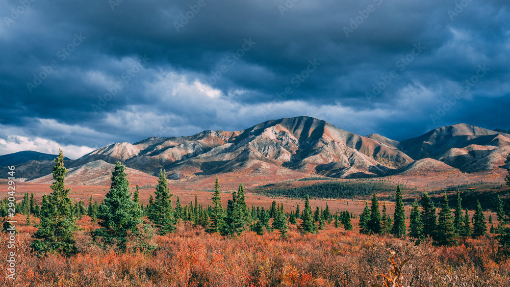Fototapeta premium view of mountains in Alaska Denali National Park