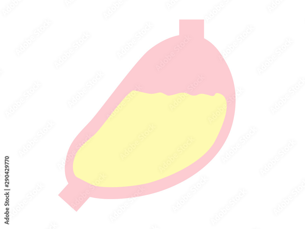 元気な胃液のある胃 キャラクター Stock Vector Adobe Stock