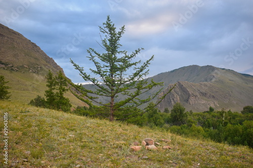 Beautiful mountain and forest landscape. Mountain trail of travelers. Magic forest in gorge on Lake Baikal. Picturesque summer mountain landscape in Siberia.