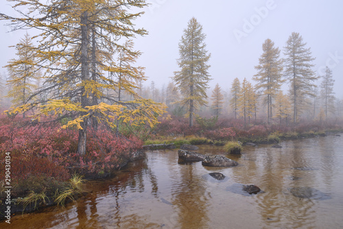 Autumn landscape with river and trees, Magadan region, Kolyma, Jack London lake