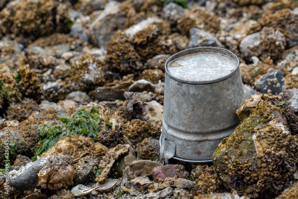 Naklejka premium A pail upside down on a rocky beach