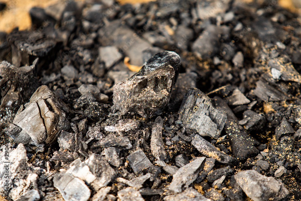 Black coals after a fire on a sandy shore. Black coals after a fire on a sandy shore.