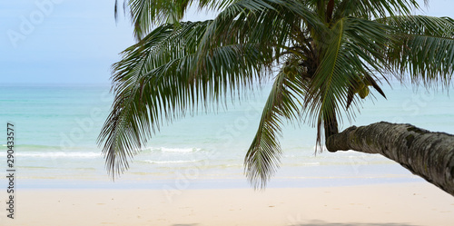 Fototapeta Naklejka Na Ścianę i Meble -  Beautiful tropical ocean with white sand, clear water and coconut tree in the relax atmosphere