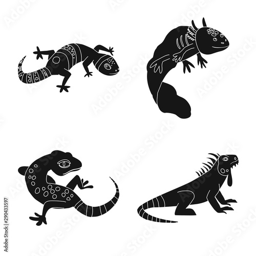 Vector illustration of zoo and environment symbol. Collection of zoo and reptile stock symbol for web.