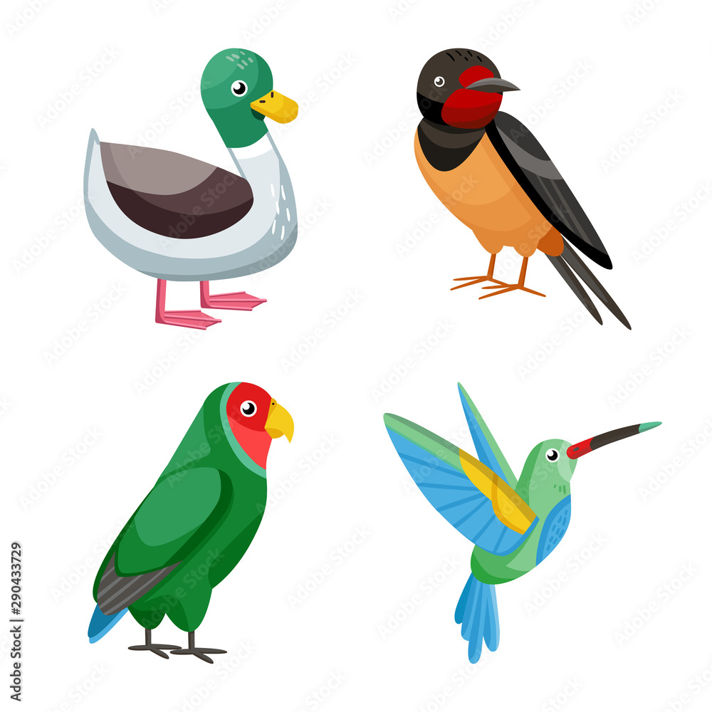 Obraz premium Vector illustration of animal and wild symbol. Collection of animal and nature stock vector illustration.