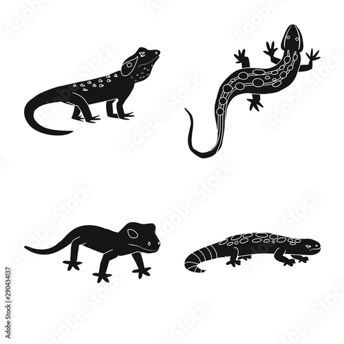 Vector illustration of zoo and environment logo. Set of zoo and reptile stock vector illustration. © Svitlana