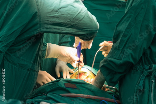 orthopedic surgery 