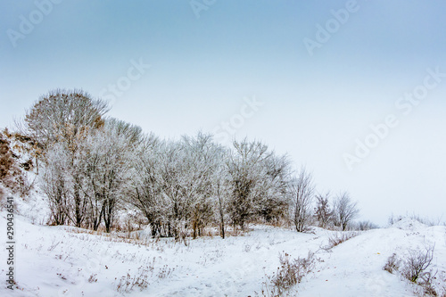 Winter landscape with trees and road leading to forest_