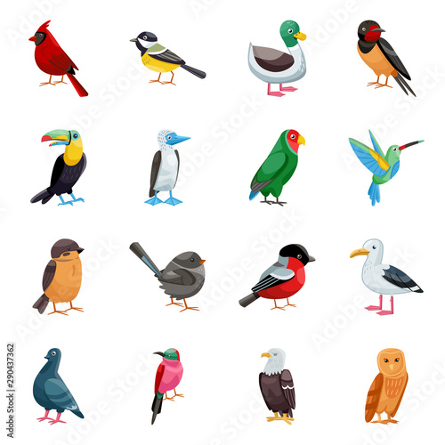 Vector illustration of animal and wild icon. Set of animal and nature vector icon for stock.