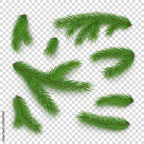 Realistic branches of christmas tree isolated on transparent background. Merry Christmas and Happy New Year decorations. Green fir tree branches vector illustration. Conifer plant detailed elements.