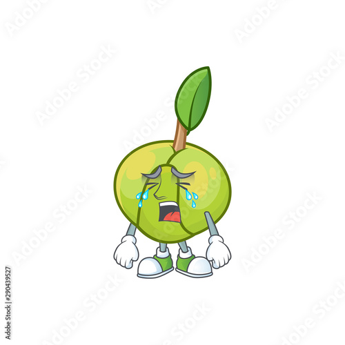 Crying elephant apple cartoon on white background