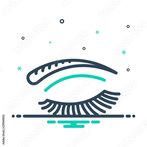 mix icon for eye lashes brow
