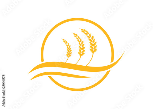 agriculture wheat logo design vector template icon