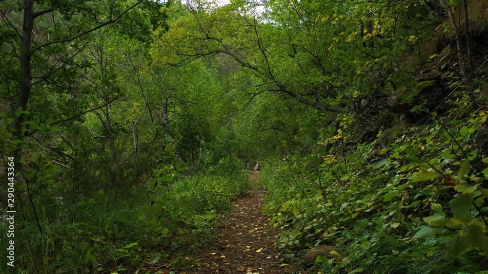 Stabile shot of a hidden path in the mountains, narrow hiking trail that could lead through borders for illegal immigrants. Stabile shot of a hidden path in the mountains, narrow hiking trail that could lead through borders for illegal immigrants.