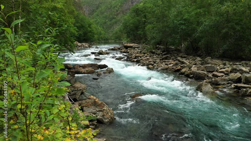 Medium stabile shot in springtime when melted snow forming a river, and flowing down from the mountains. Intact nature, with clear drinkable water in the forest. Medium stabile shot in springtime when melted snow forming a river, and flowing down from the mountains. Intact nature, with clear drinkable water in the forest.