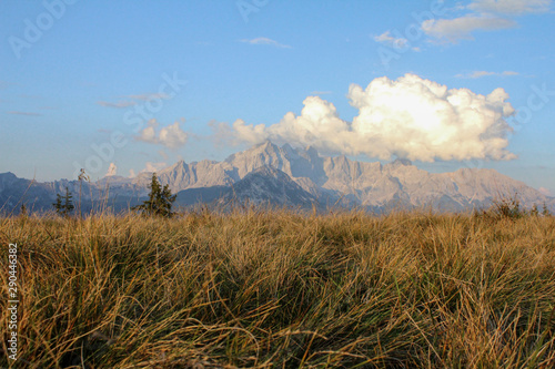 wiese mit Aussicht