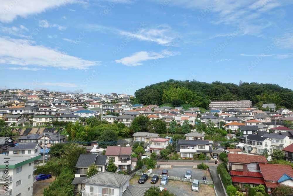 Obraz premium 多摩の町