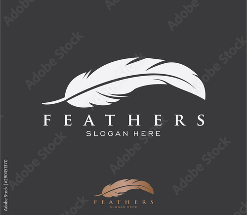 feather logo design template