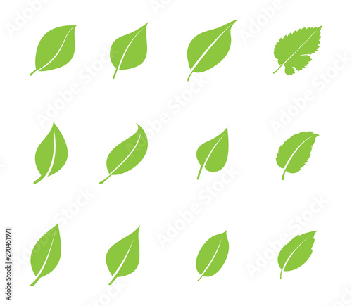 green leaf ecology nature element vector