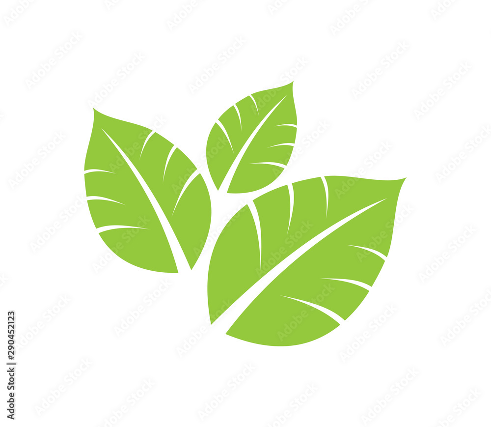 Naklejka premium Green eco leaf logo element symbol, vector template,