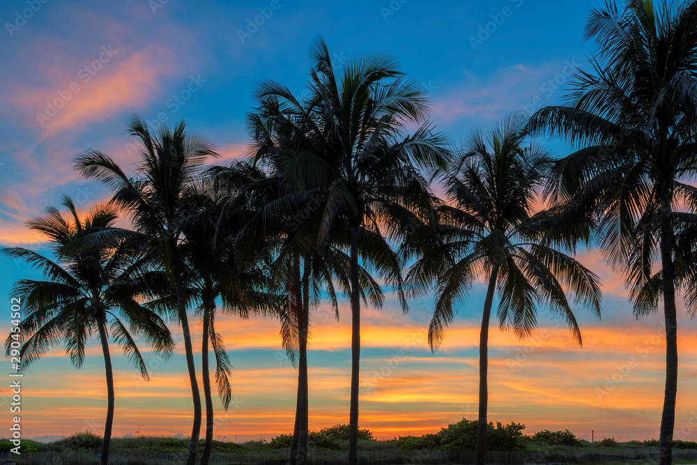 Palm trees on Miami Beach at sunrise in Ocean Drive, South Beach, Florida