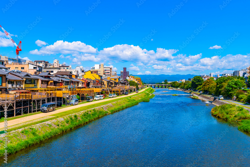 Fototapeta premium 鴨川 京都観光 日本