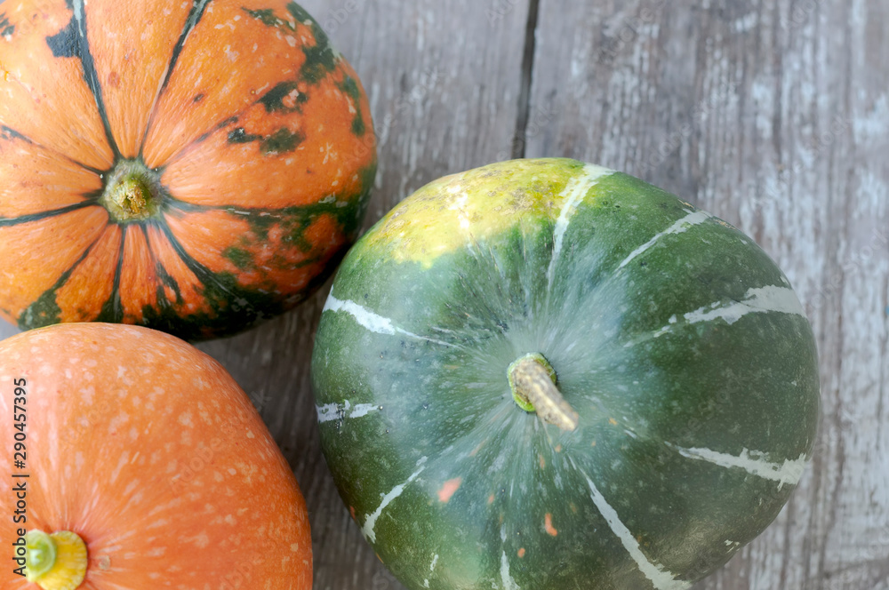 Three pumpkins of different colors on a gray wooden background. Autumn harvest Three pumpkins of different colors on a gray wooden background. Autumn harvest