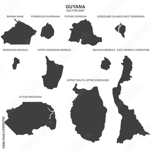 political map of Guyana on white background