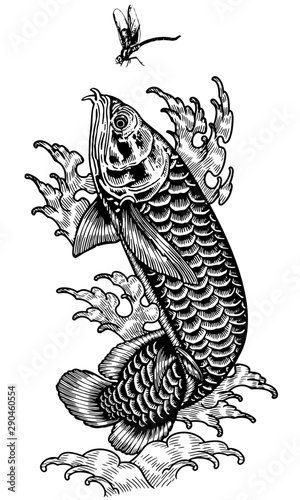 arowana dragon fish jump