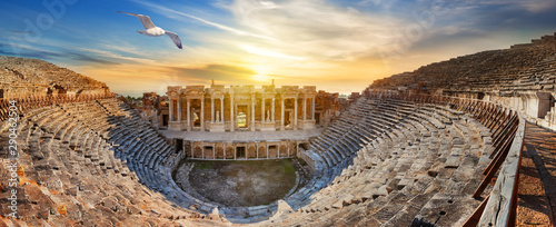 Amphitheater in ancient city of Hierapolis and seagull above it