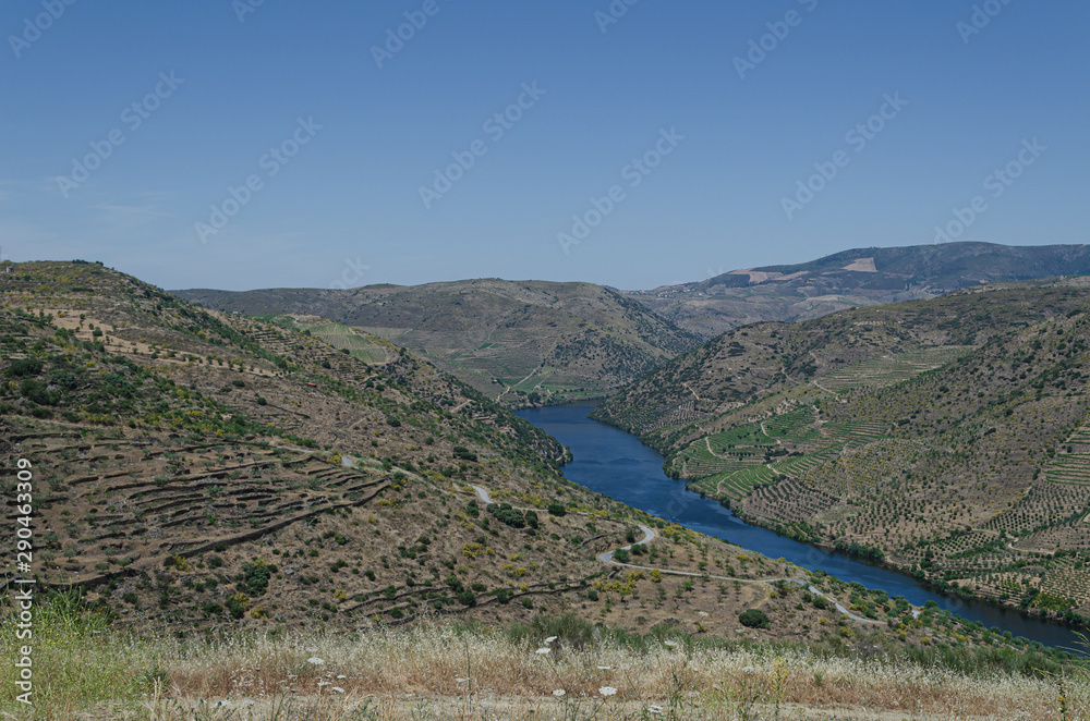 Panorámica del Rio Douro desde el Museo Arqueológico de Foz Côa. Portugal.