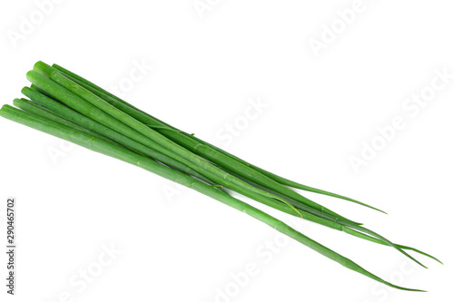 cut of green onion isolated on white background