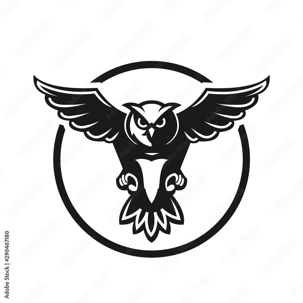 Obraz premium Owl logo vector in modern colorful logo design, Owl icon vector isolated on white background