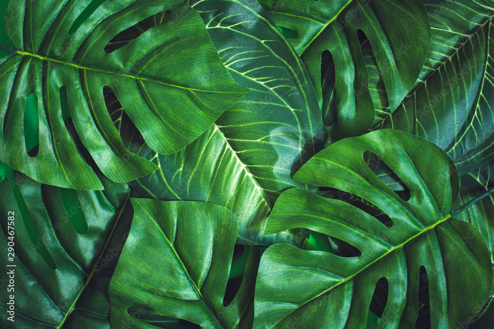 Obraz premium Flat lay green leaves background.