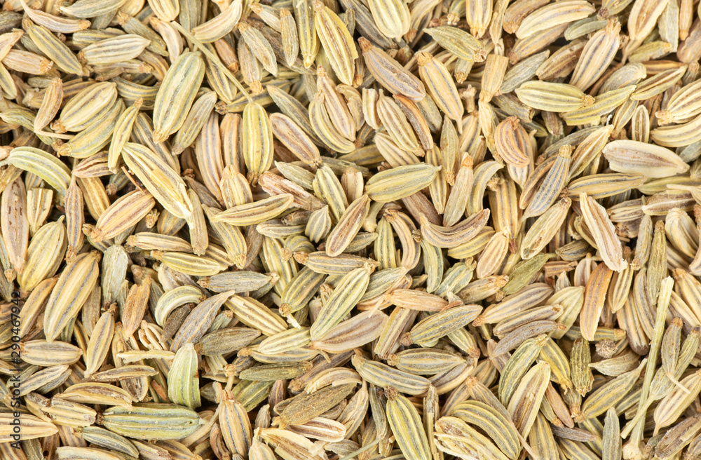 Spice dry fennel