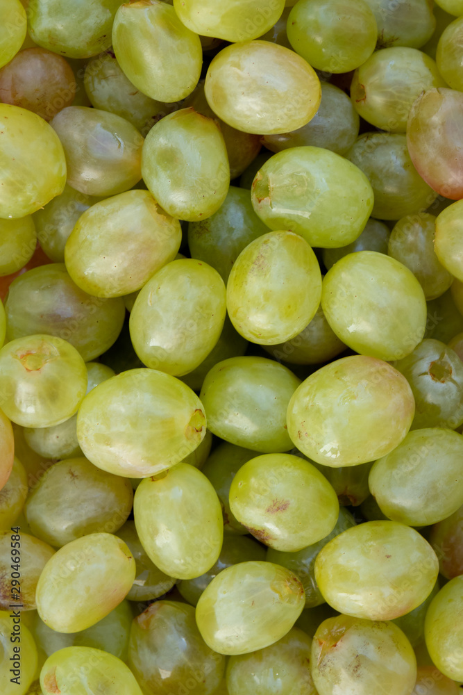 Many green grapes close up. Fruit of the autumn Many green grapes close up. Fruit of the autumn