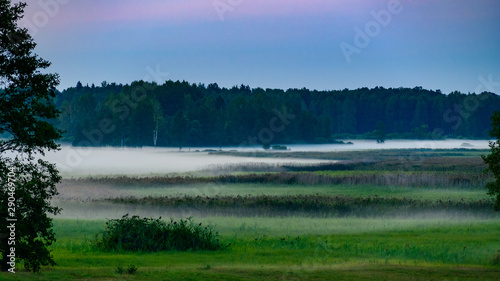 mgły nad łąką po zachodzie słońca