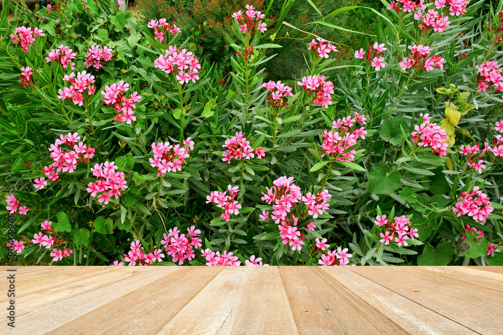 Empty top wooden table on beautiful flowers blooming in garden Empty top wooden table on beautiful flowers blooming in garden