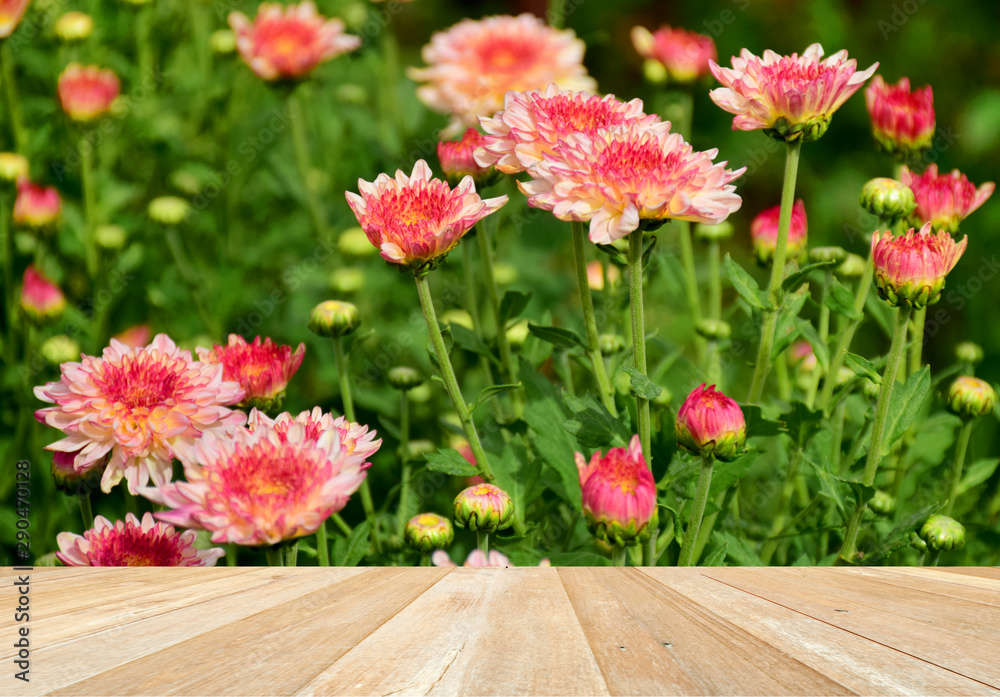 Obraz premium Empty top wooden table on beautiful flowers blooming in garden