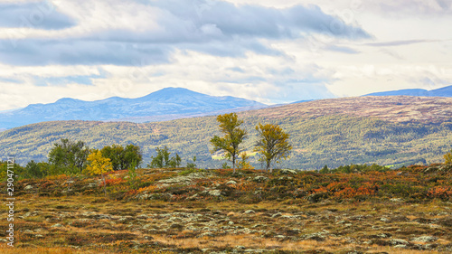 Forollhogna national park