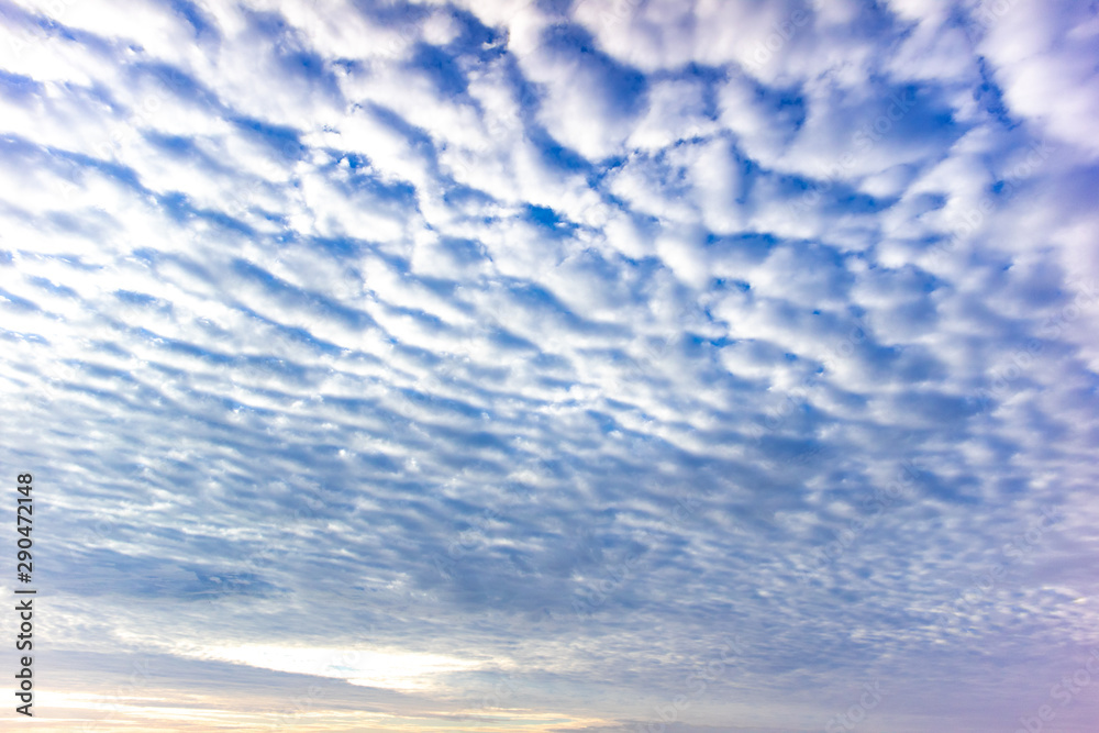 Fototapeta premium Cirrocumulus clouds with blue sky in the morning