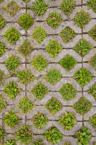 Permeable pavement with grass. Eco friendly parking