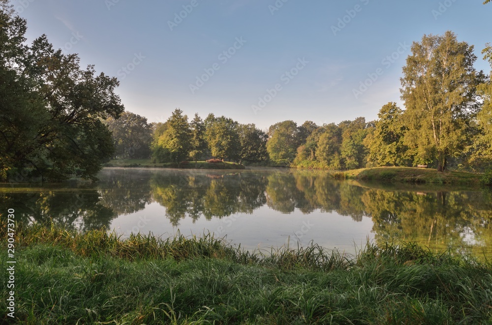 Fototapeta premium Beautiful morning summer landscape. Green trees and plants by the pond in the park.