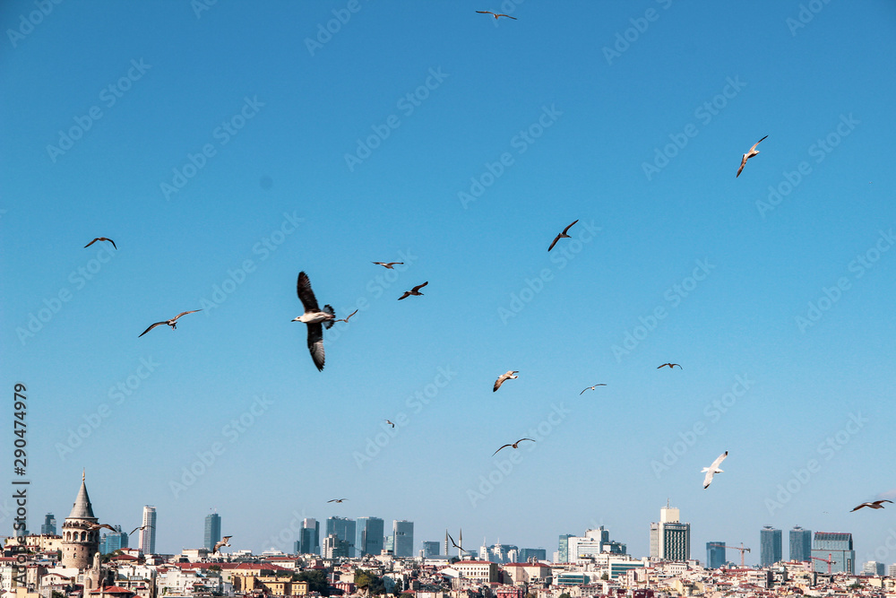 Galata Tower and Mosque dome silhouette with Bosphorus landscape in Golden Horn of Istanbul city in Turkey and the sea of Marmara Galata Tower and Mosque dome silhouette with Bosphorus landscape in Golden Horn of Istanbul city in Turkey and the sea of Marmara