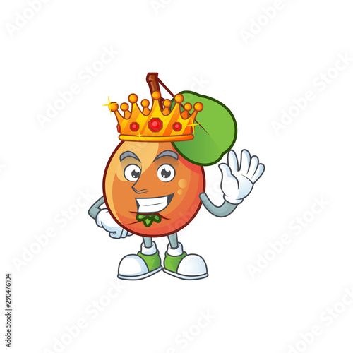 King shipova fruit cartoon on white background