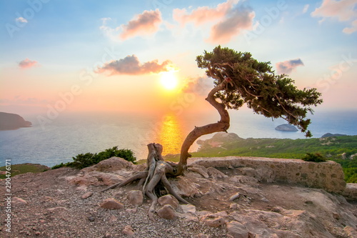 Lonely tree near Monolithos castle at sunset, Rhodes island , Greece