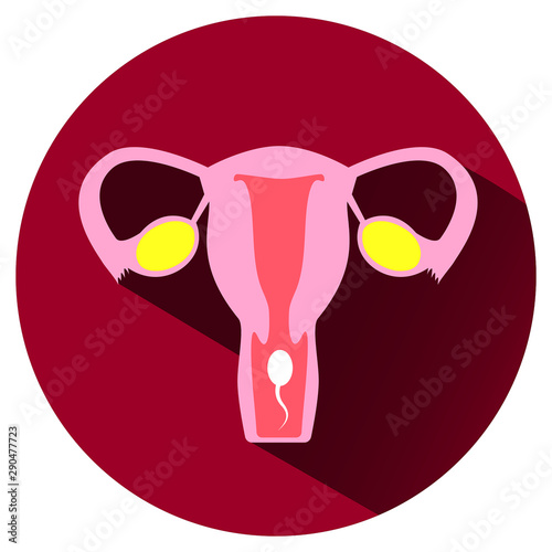 Uterus and sperm. Fertilization concept. Vector icon isolated on white.